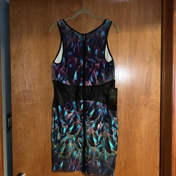 Bebe Print Contrast Waist Dress - Picture 3 of 4